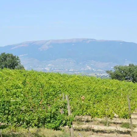 Agroturismo Agriturismo Gli Olmi *