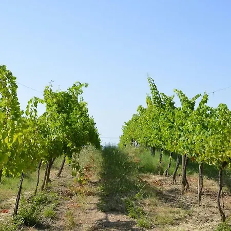Agriturismo Gli Olmi Agroturismo Castel Ritaldi
