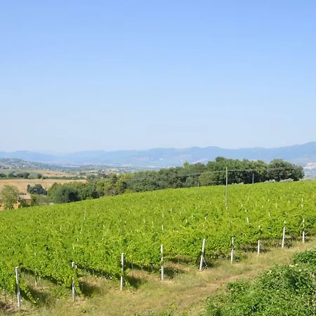 Farm stay Agriturismo Gli Olmi